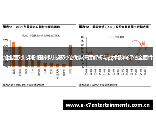 加维面对比利时国家队比赛对位优势深度解析与战术影响评估全面性